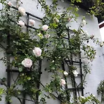 Pavla Lodge