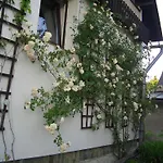 Pavla Lodge